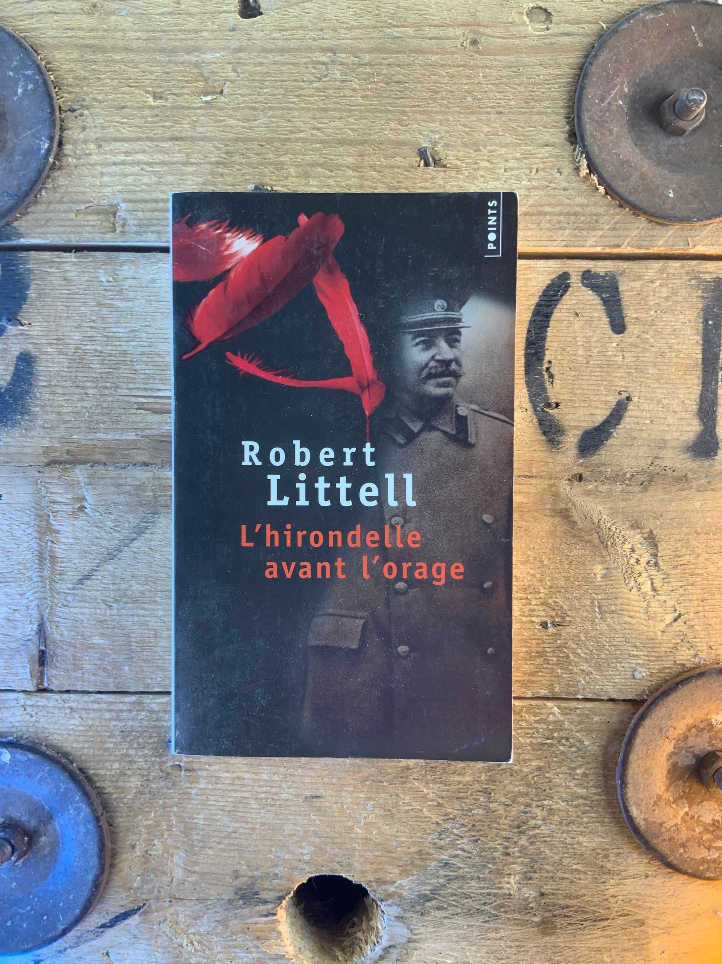 L’hirondelle avant l’orage - Robert Littell