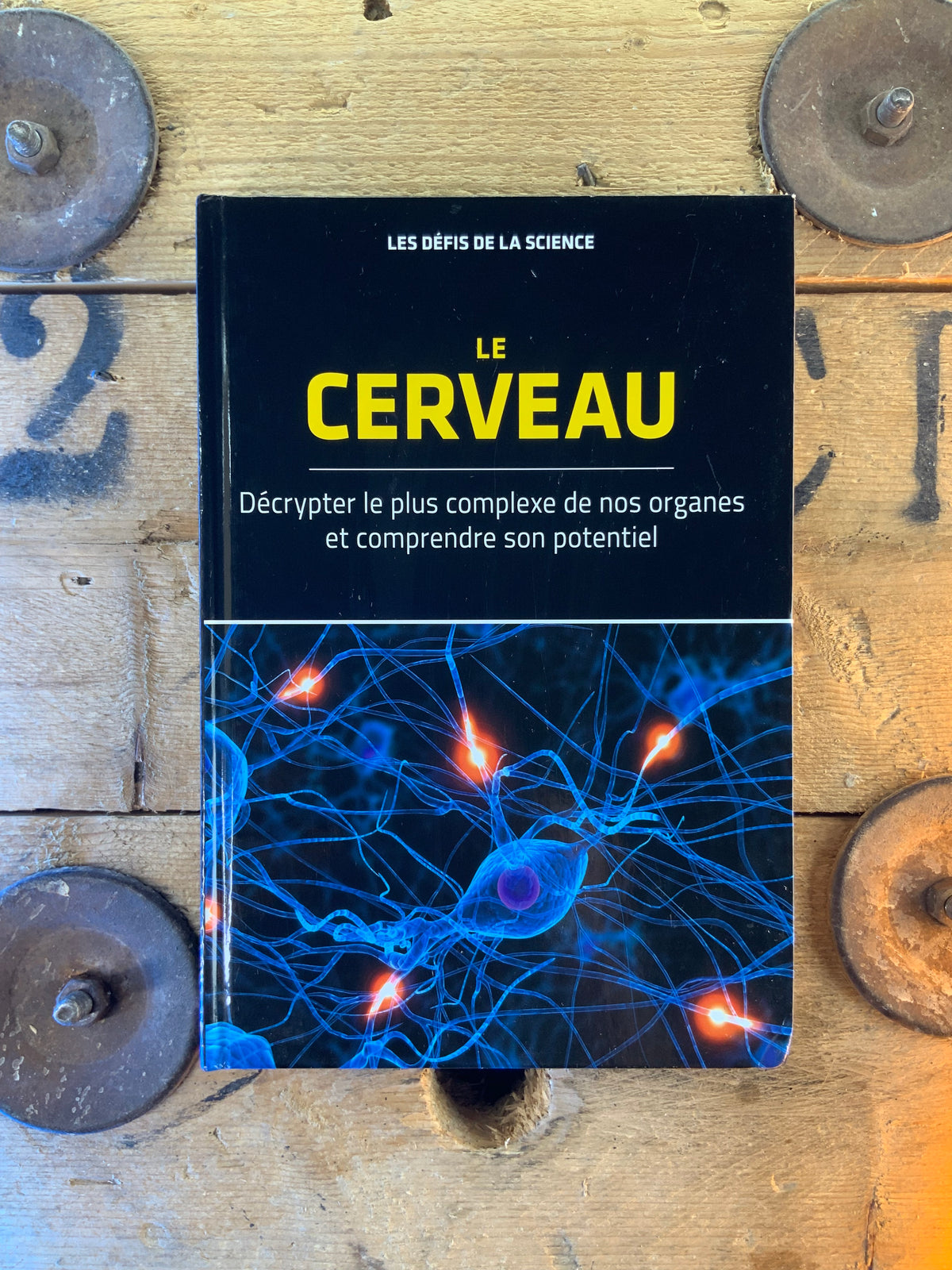 Le cerveau : décrypter le plus complexe de nos organes et comprendre son potentiel [ Collection les défis de la science ]