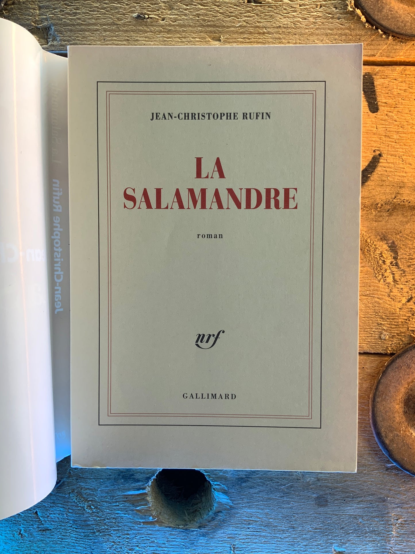 La Salammandre - Jean-Christophe Rufin