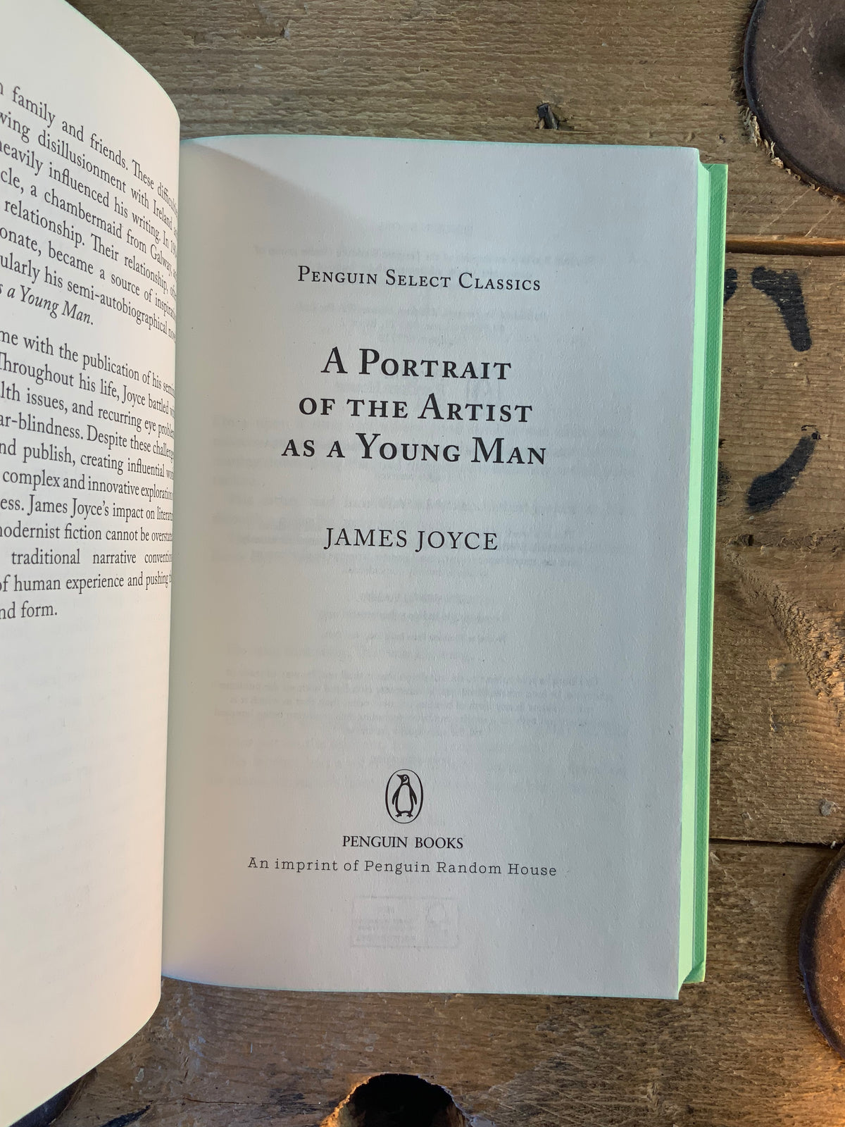 A portrait of the artist as a young man - James Joyce [neuf]