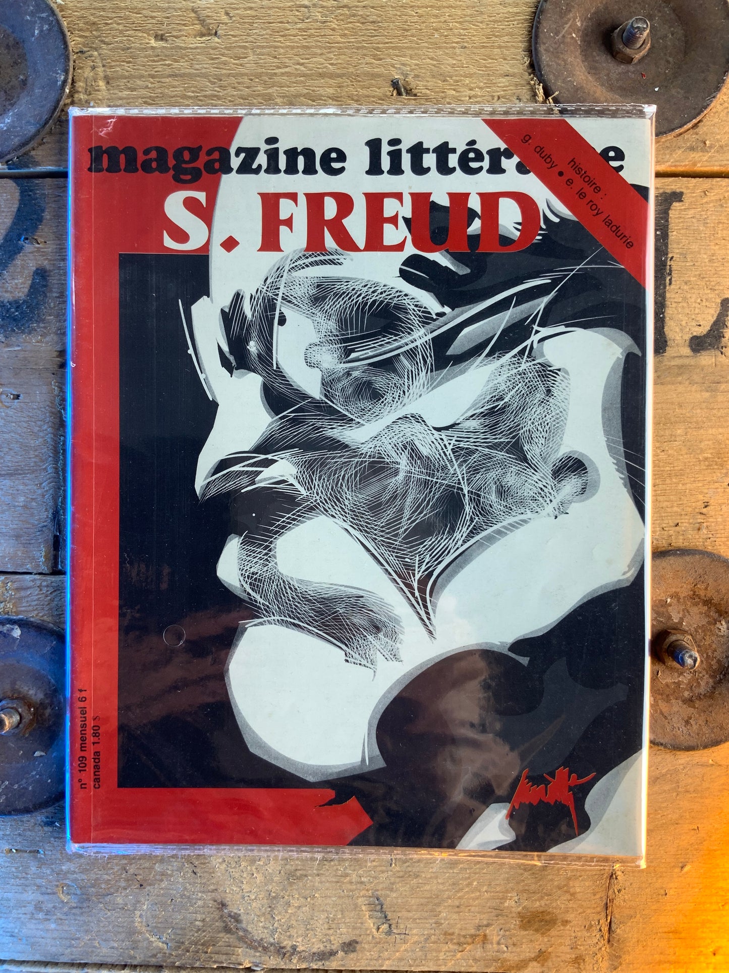 Sigmund Freud [ Magazine Littéraire ]