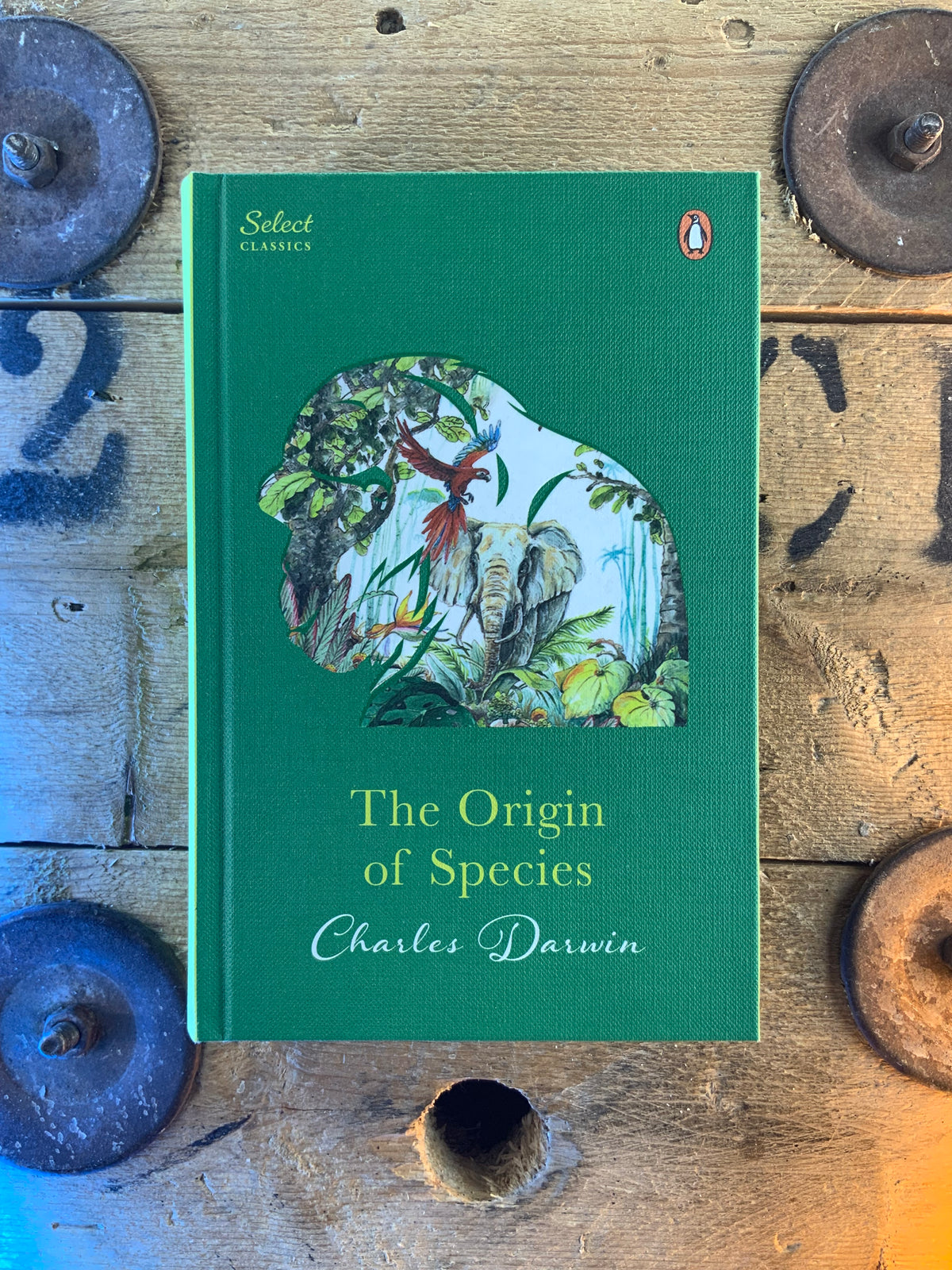 The Origin of Spices - Charles Darwin [neuf]