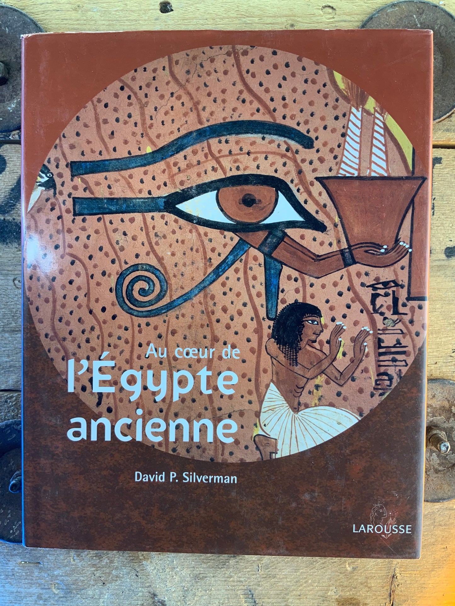 Au cœur de l’Égypte ancienne - David P. Silverman