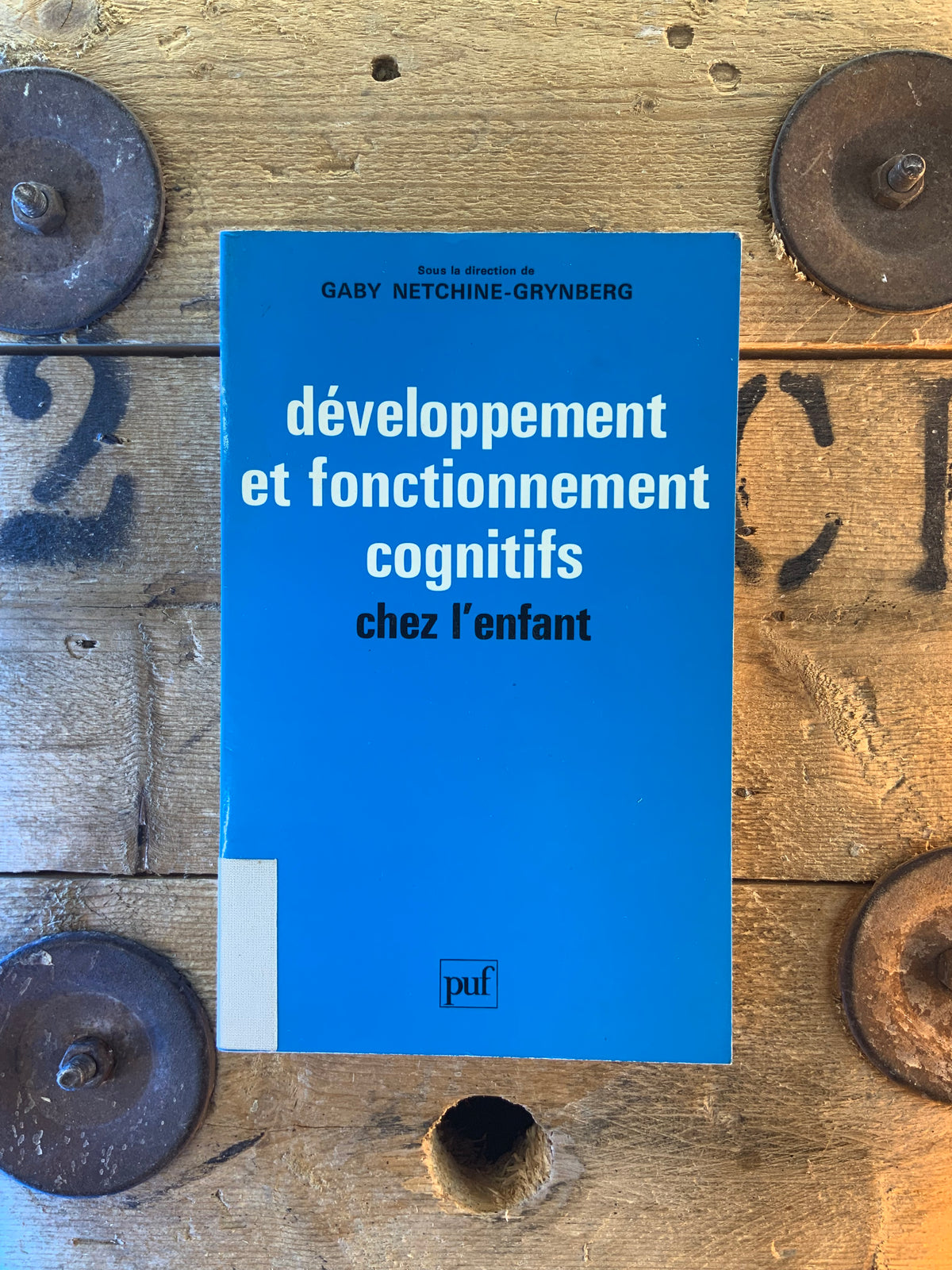 Développement et fonctionnement cognitifs chez l’enfant - Gaby Netchine-Grynberg