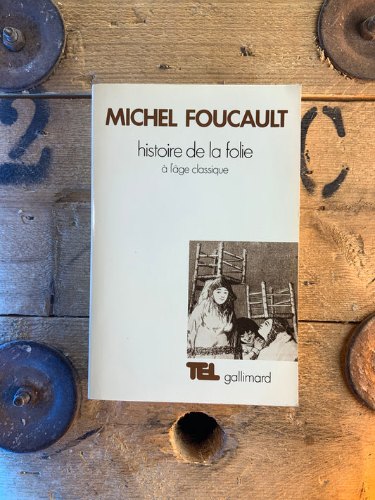 Histoire de la folie à l’âge classique - Michel Foucault