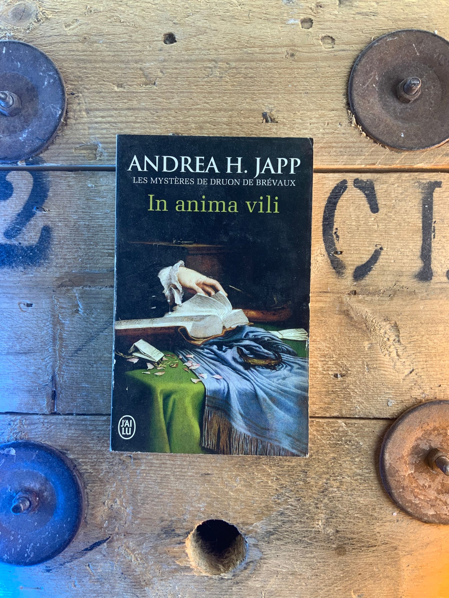 In anima vili - Andrea H. Japp