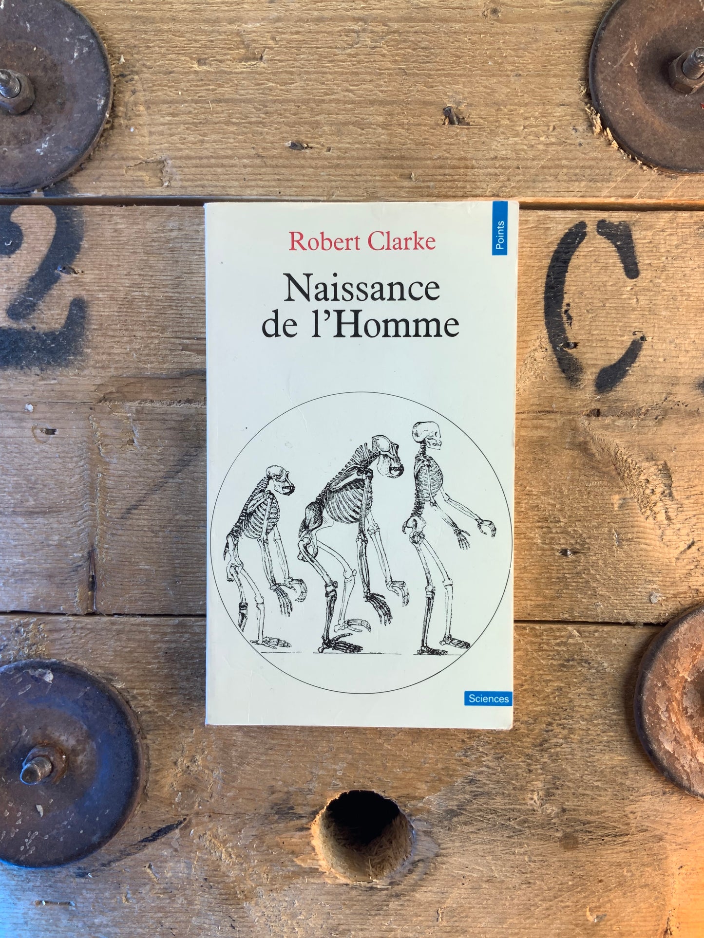 Naissance de l’Homme - Robert Clarke