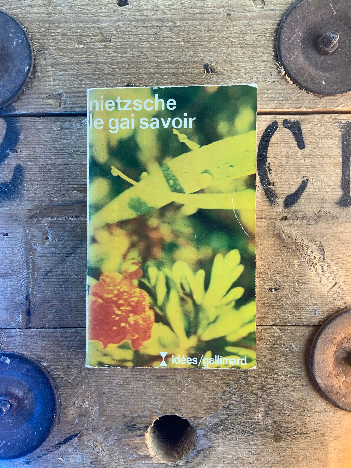 Le gai savoir - Friedrich Nietzsche