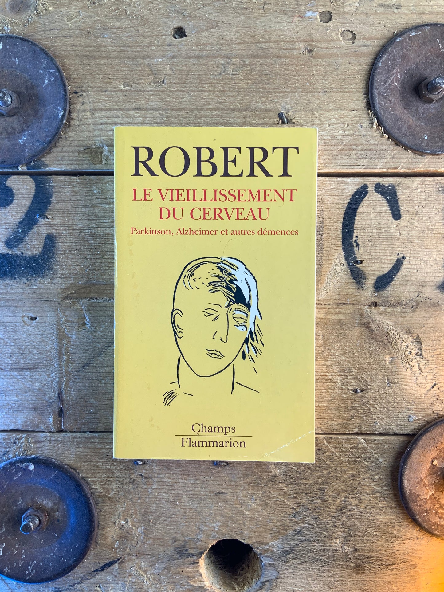 Le vieillissement du cerveau : Parkinson, Alzheimer et autres démentes - Ladislas Robert
