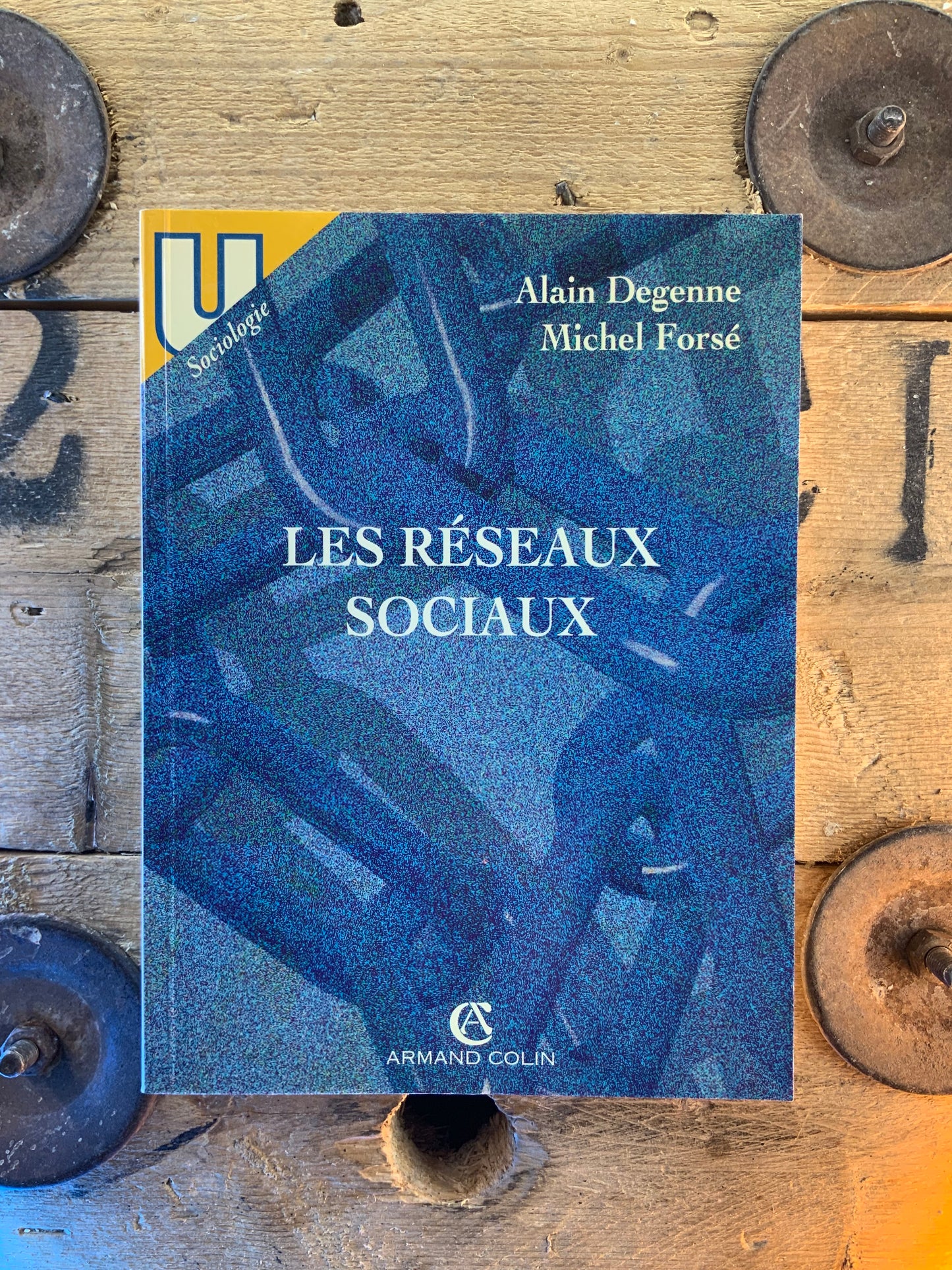 Les réseaux sociaux - Alain Degenne et Michel Forsé