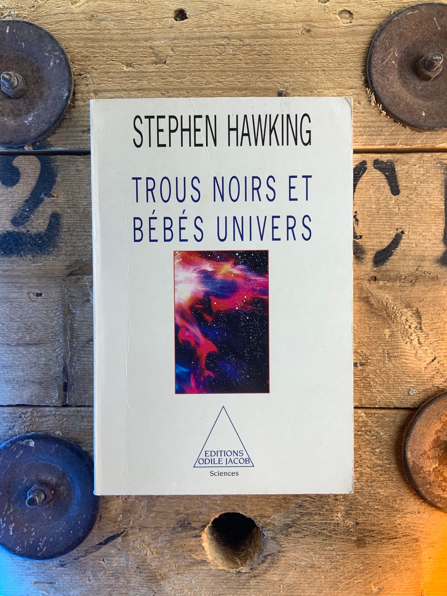 Trous noirs et bébés univers - Stephen Hawking