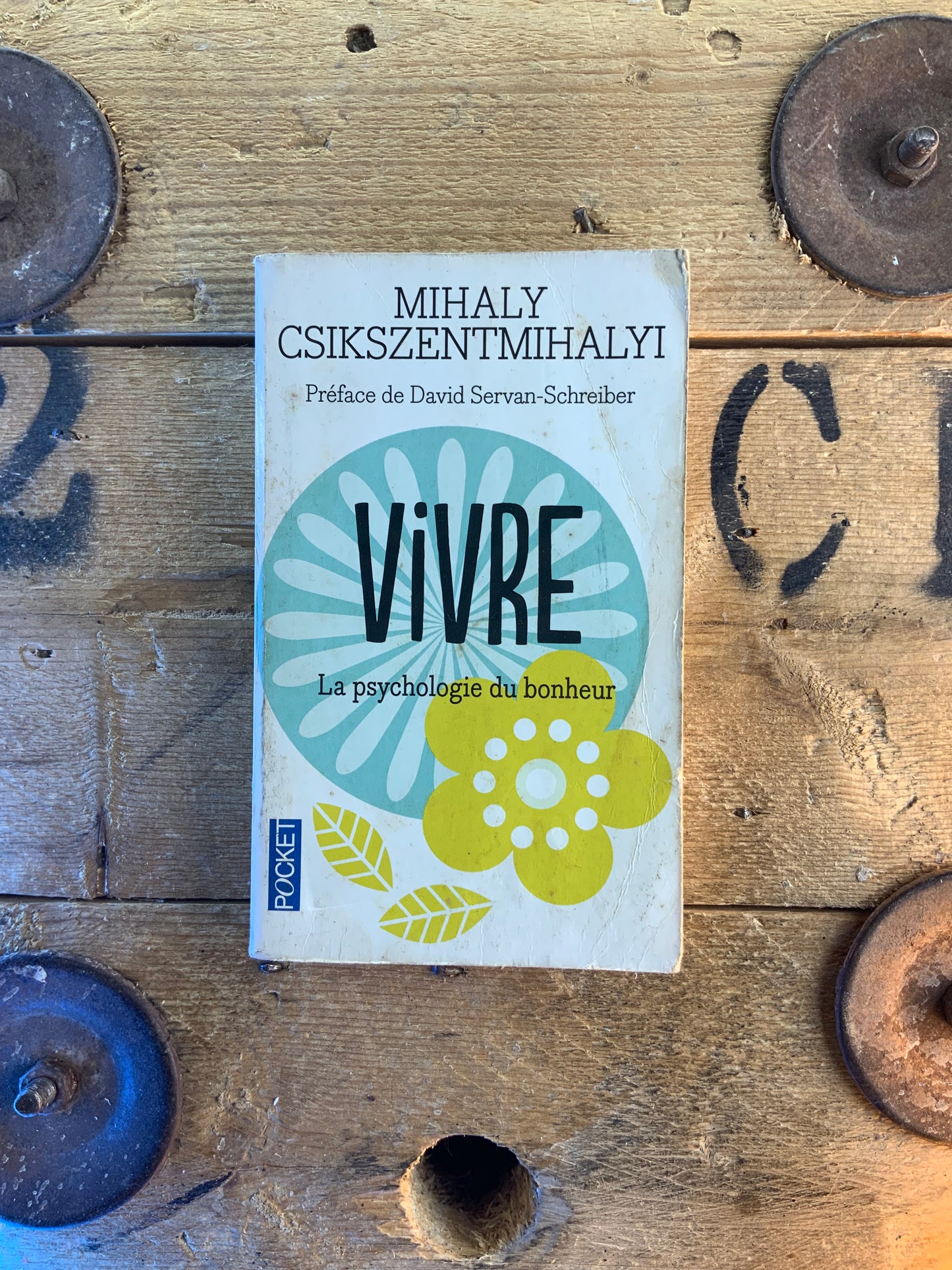 Vivre : la psychologie du bonheur - Mihaly Csikszentmihalyi