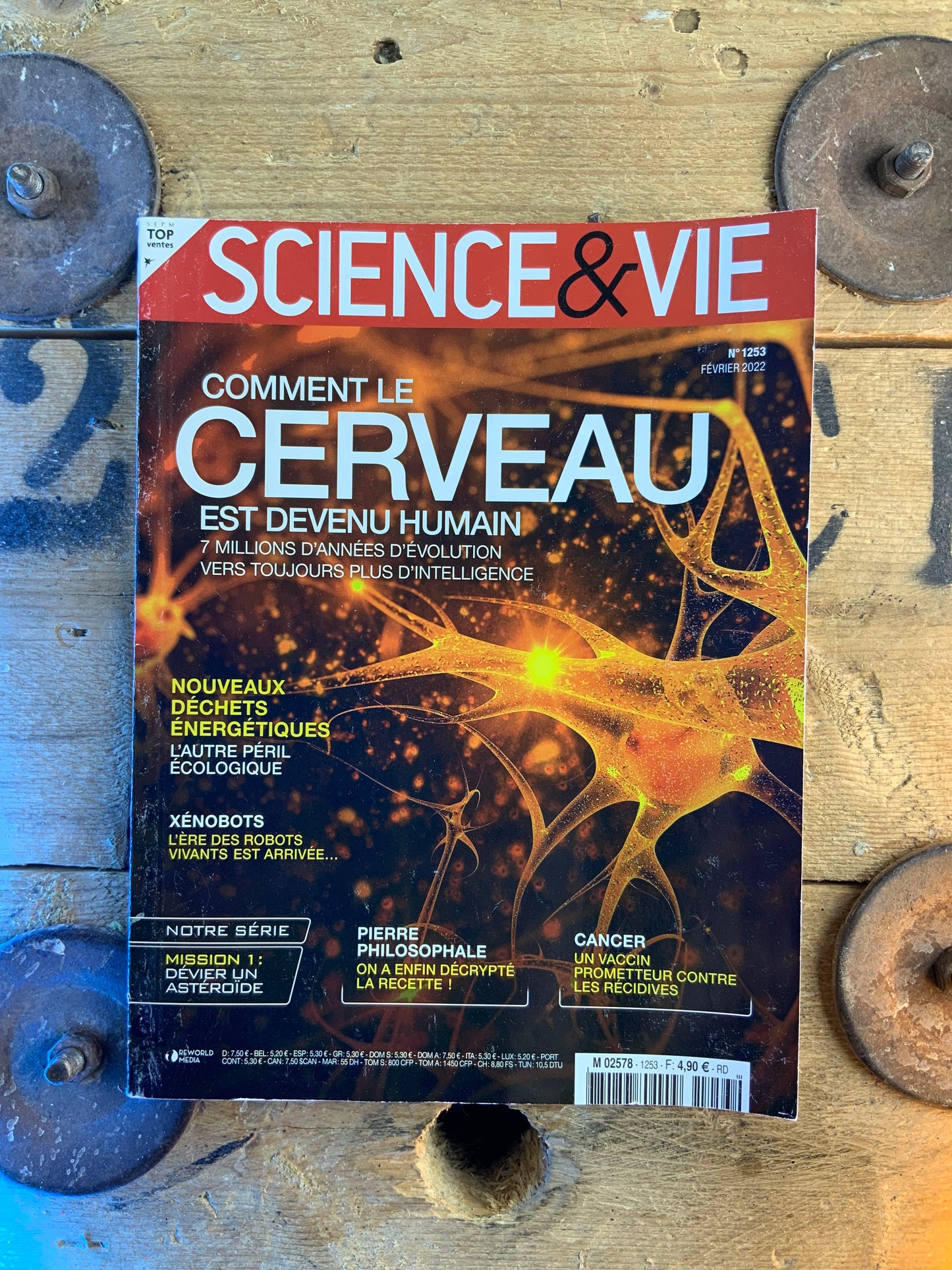 Comment le cerveau est devenu humain [ Science & Vie ]