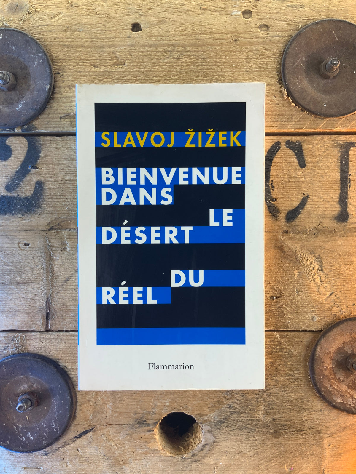 Bienvenue dans le désert du réel - Slavoj Žižek