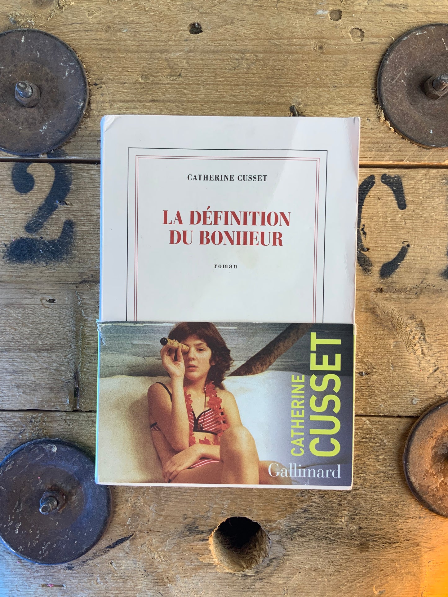 La définition du bonheur - Catherine Cusset