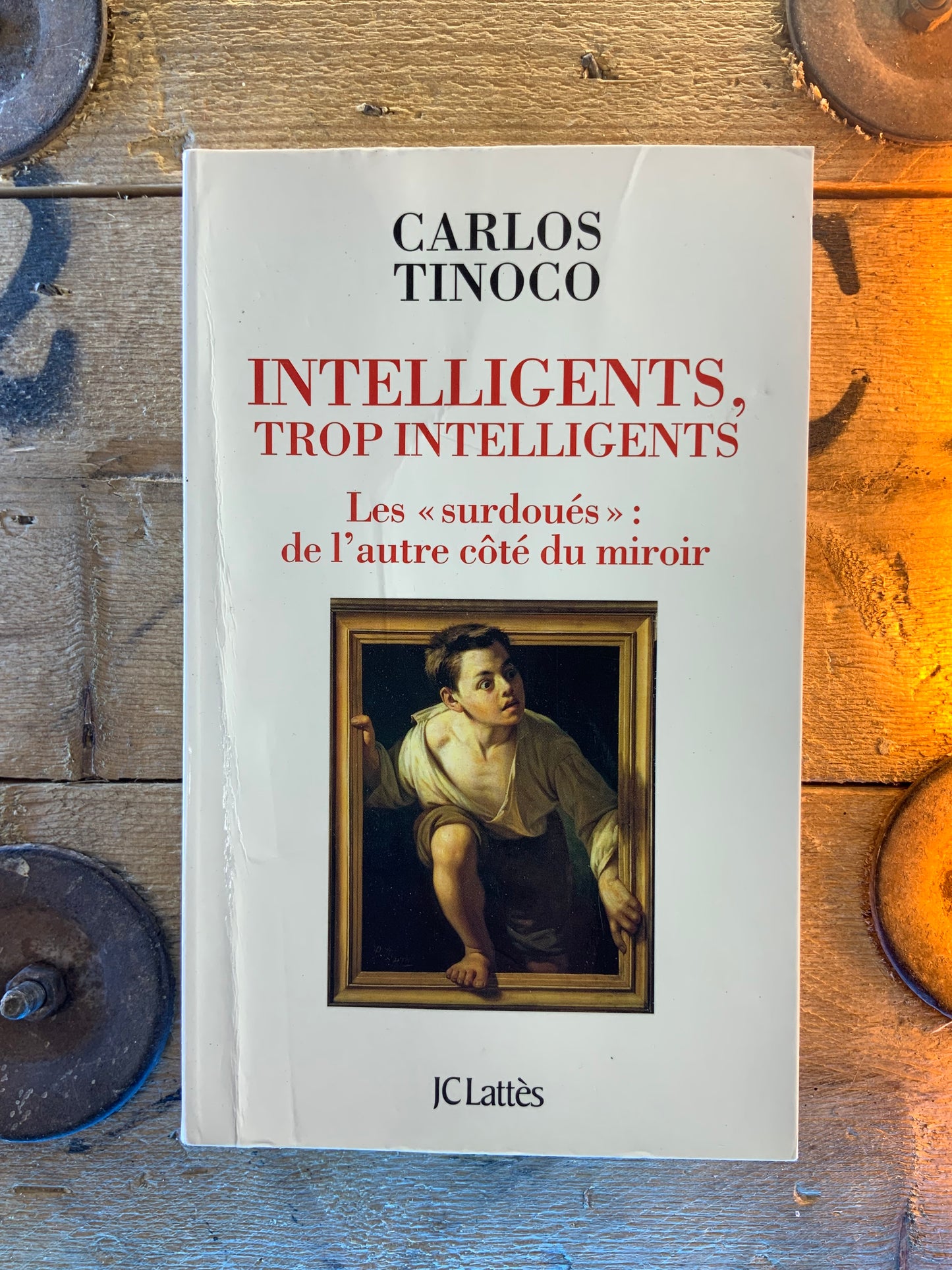 Intelligents, trop intelligents. Les « surdoués » : de l’autre côté du miroir - Carlos Tinoco