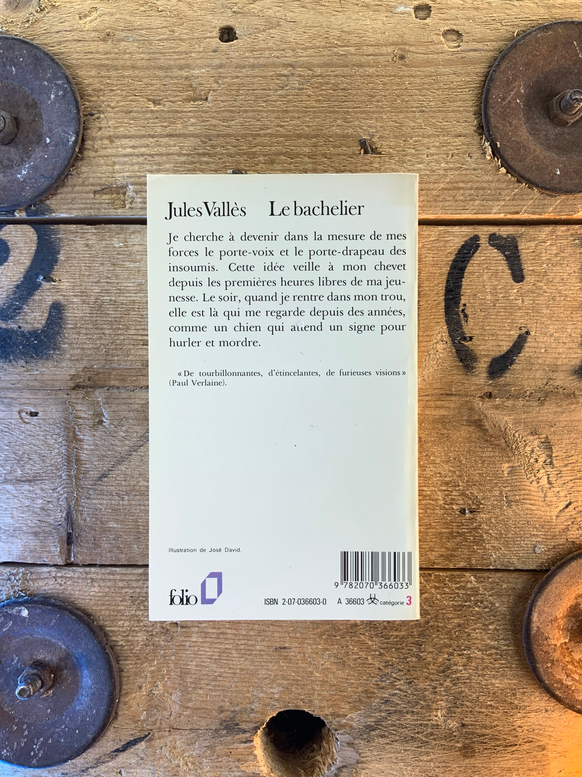 Le bachelier - Jules Vallès