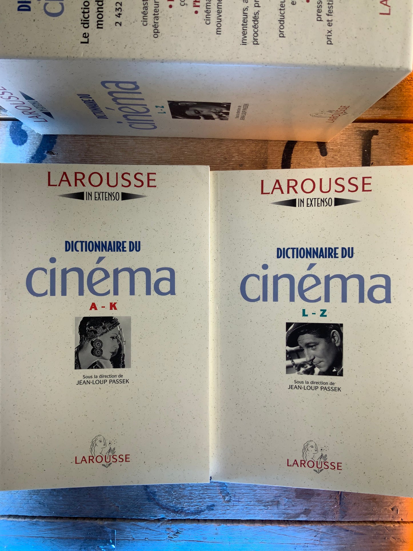 Dictionnaire du cinéma (en 2 volumes)