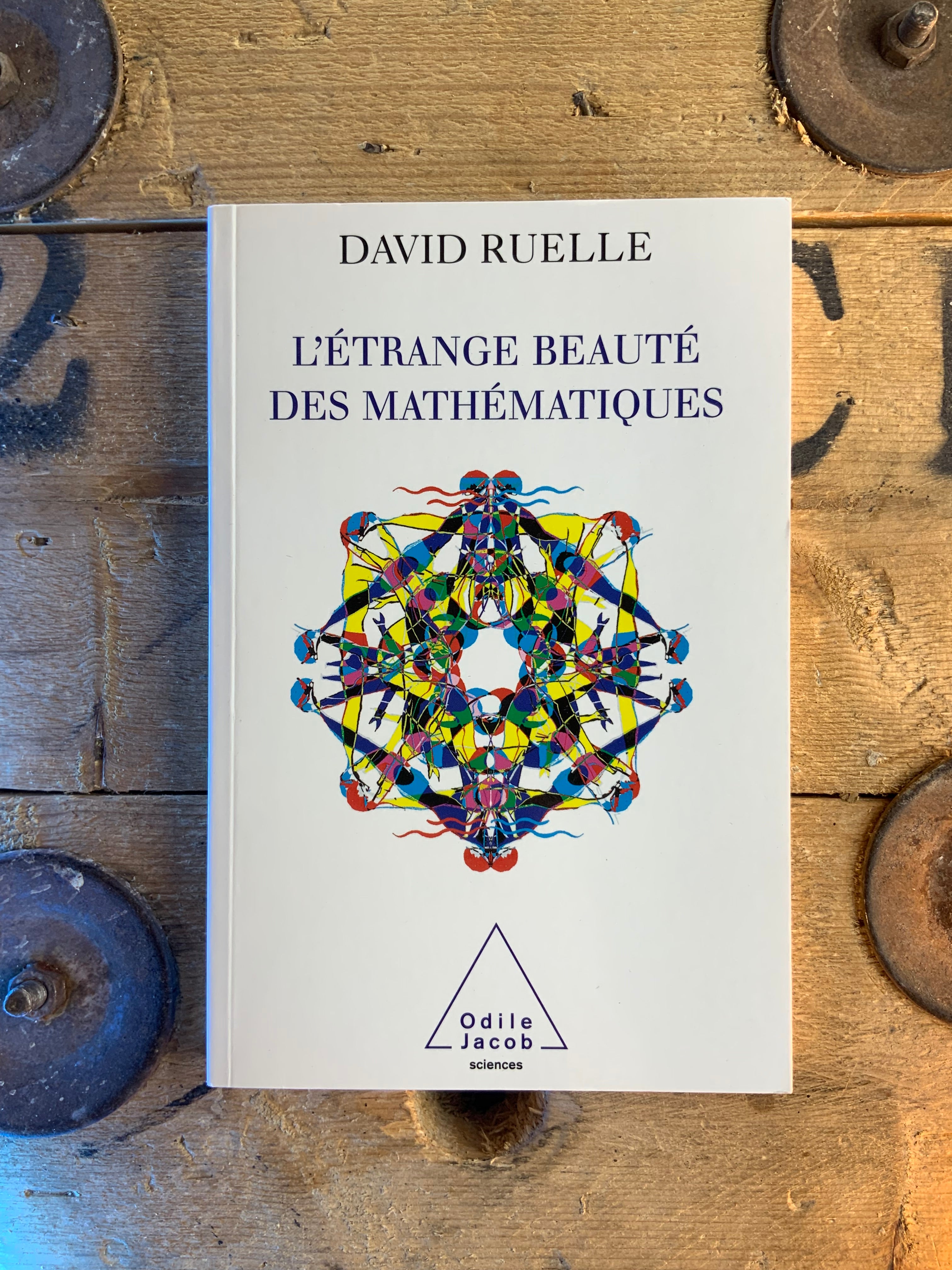 L’étrange beauté des mathématiques - David Ruelle – Ephesus
