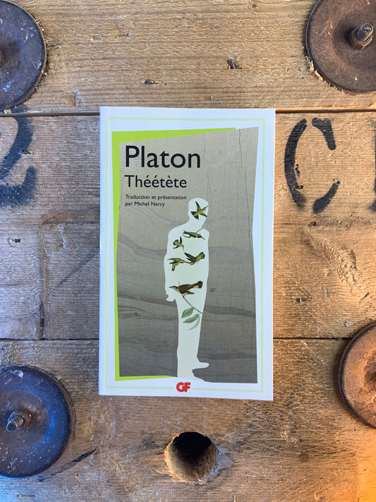 Théetète - Platon