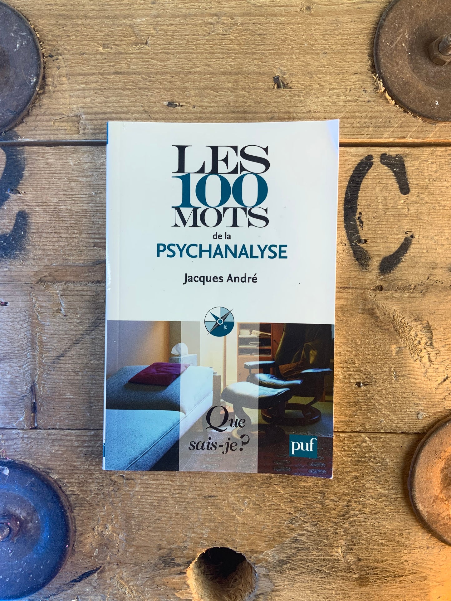 Les 100 mots de la psychanalyse - Jacques André