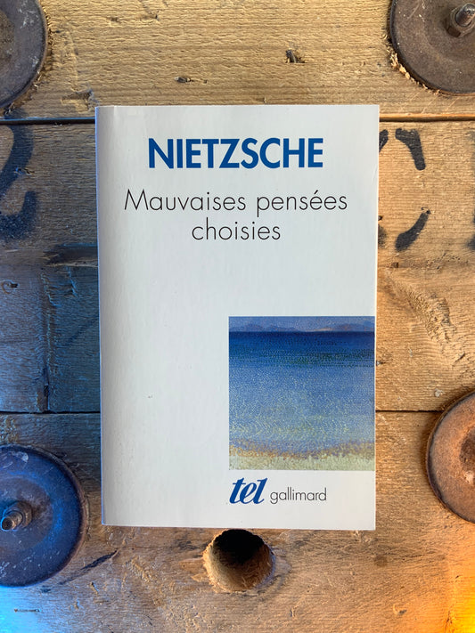 Mauvaises pensées choisies - Friedrich Nietzsche