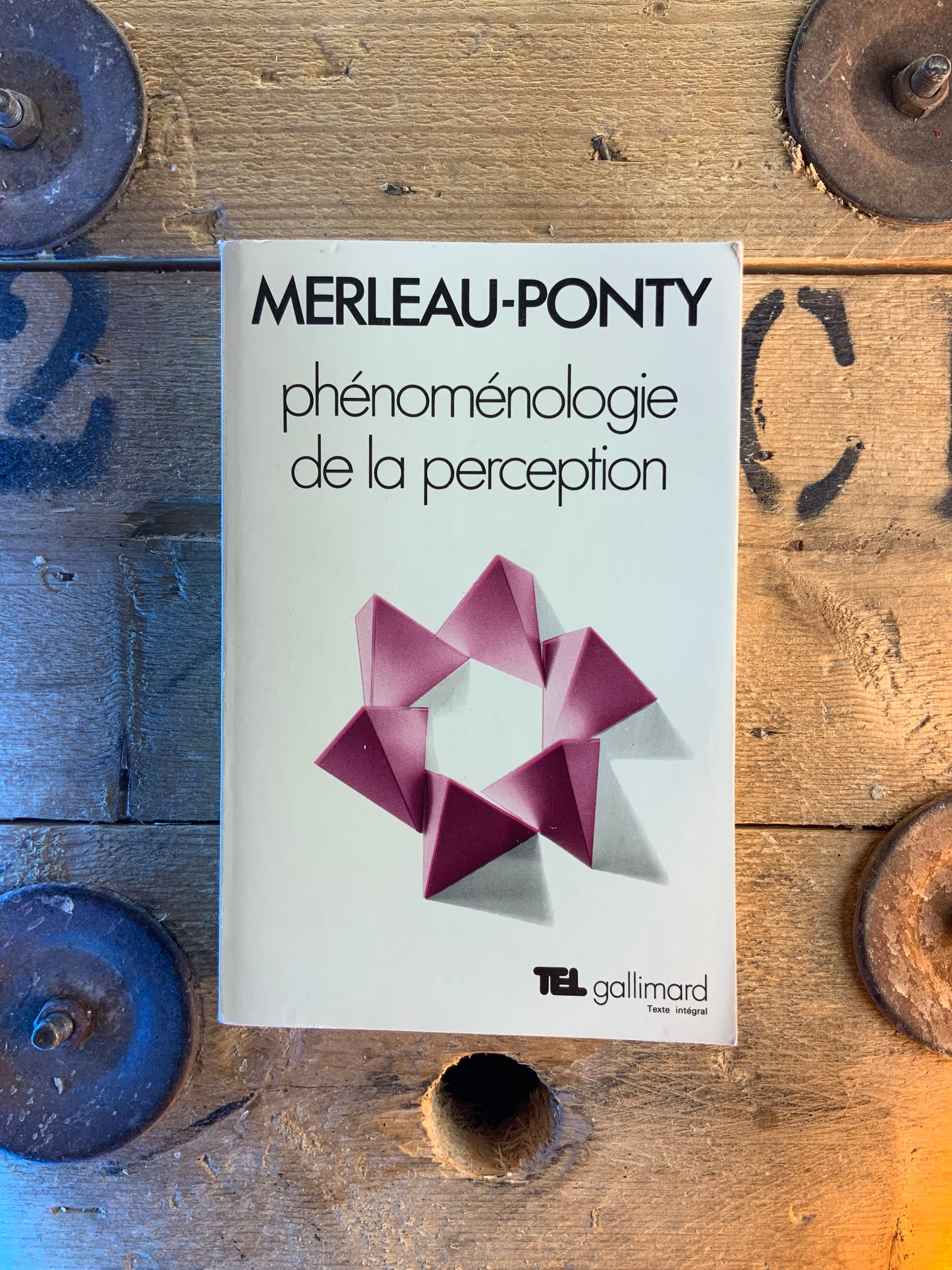 Phénoménologie de la perception - Maurice Merleau-Ponty