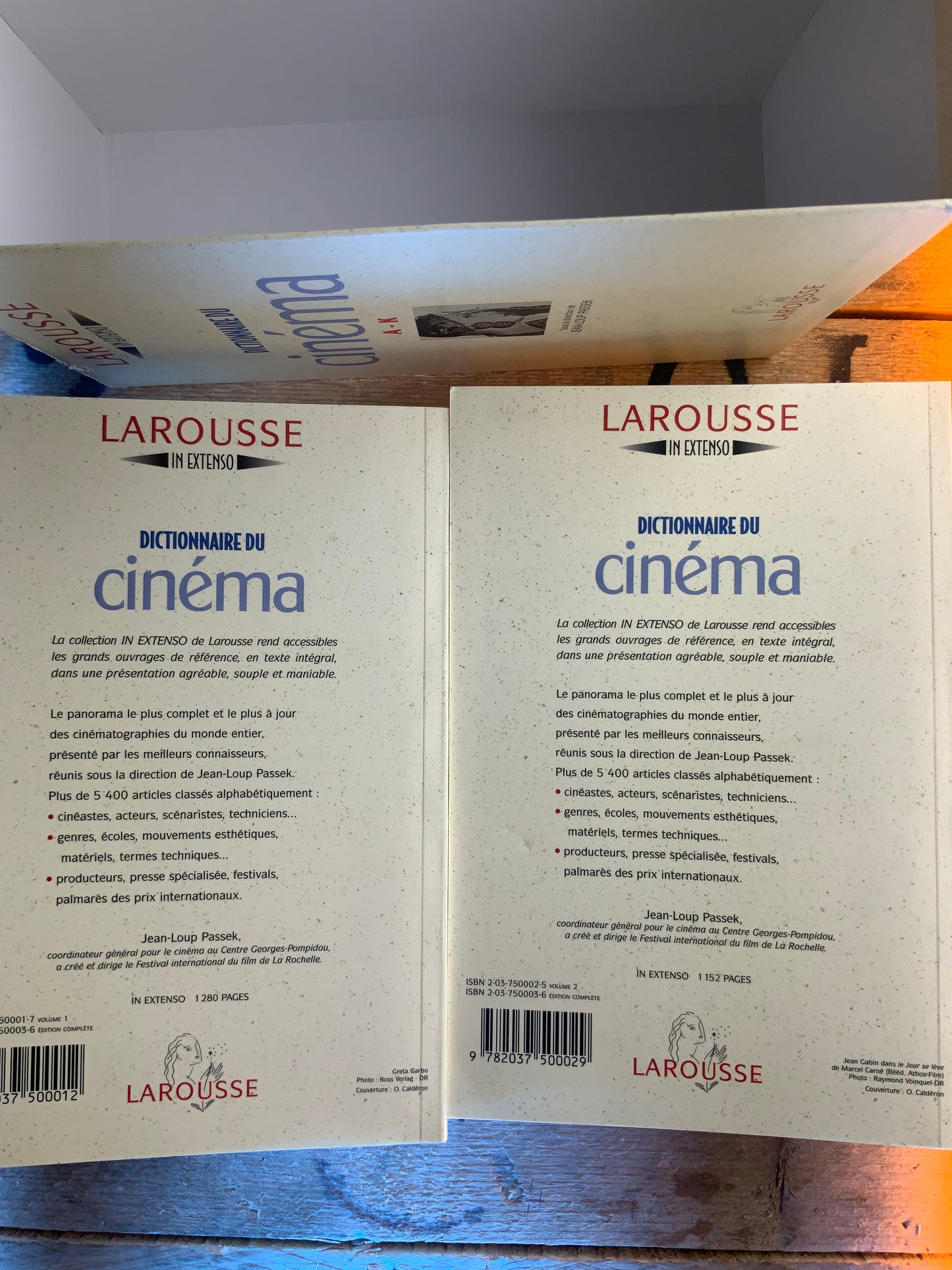 Dictionnaire du cinéma (en 2 volumes)