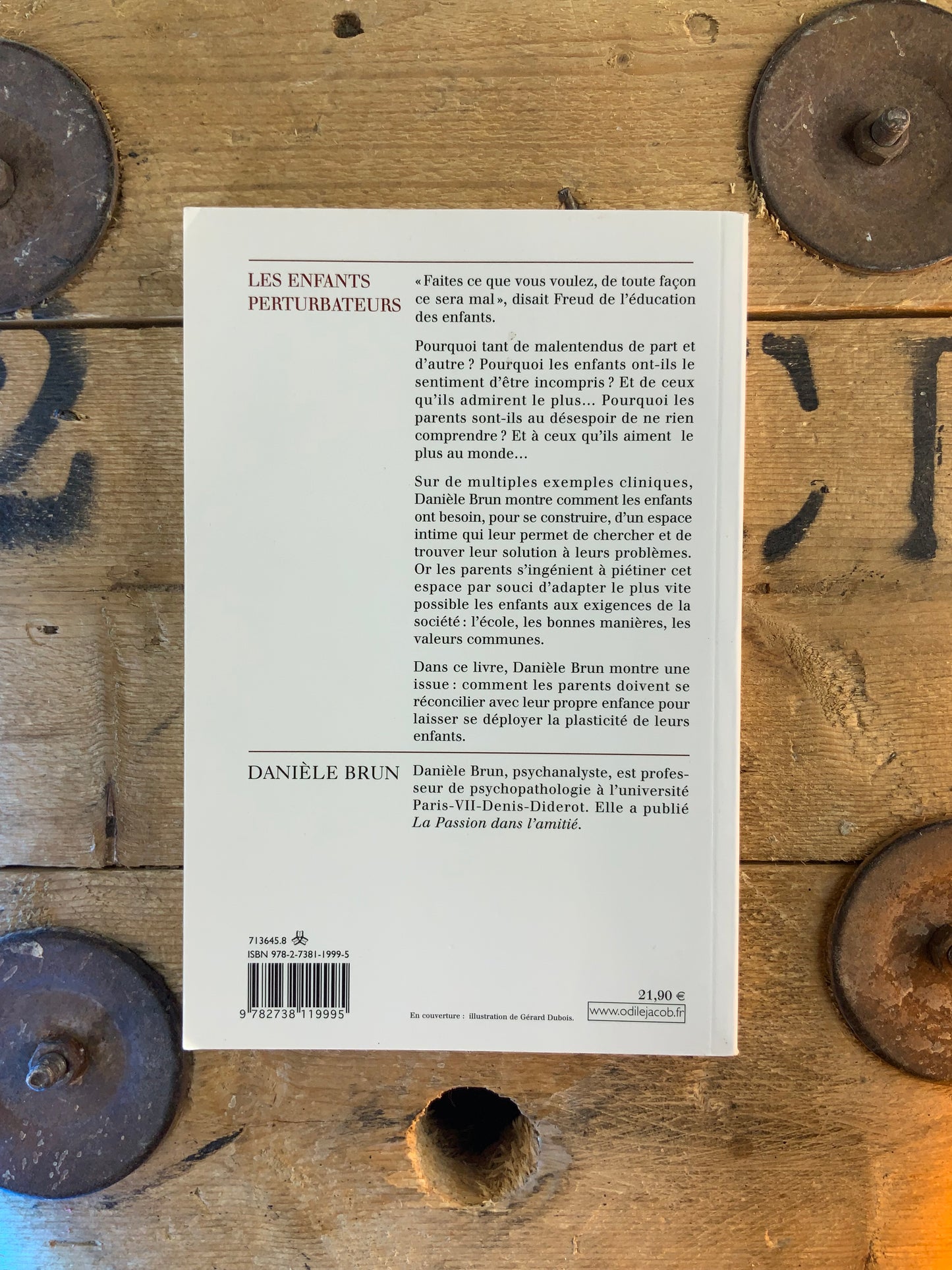 Les enfants perturbateurs - Danièle Brun
