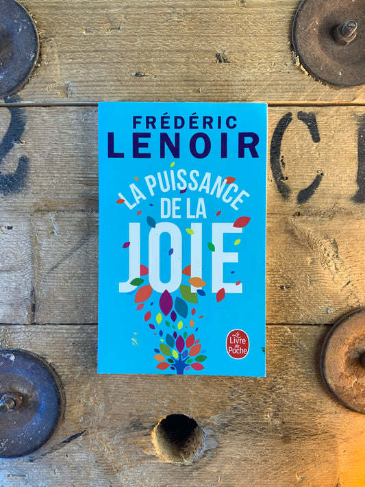 La puissance de la joie - Frédéric Lenoir