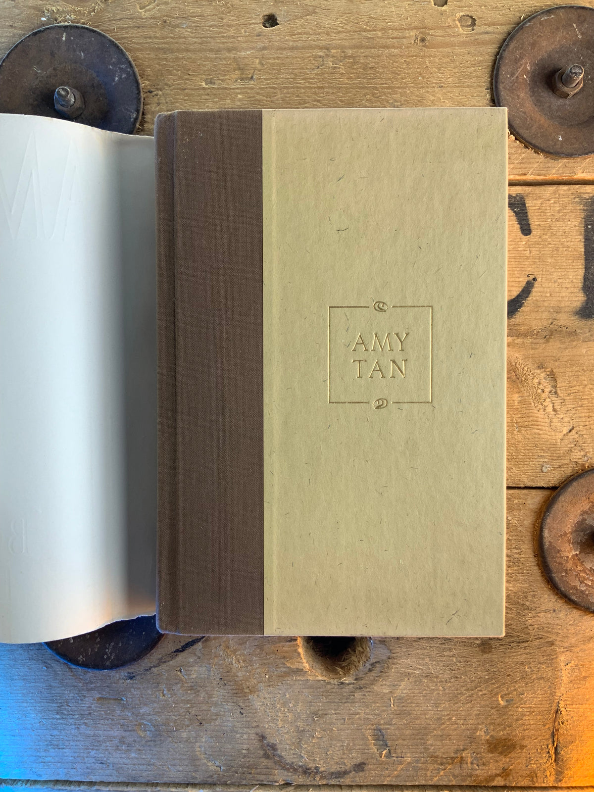 The Bonesetter’s daughter - Amytan