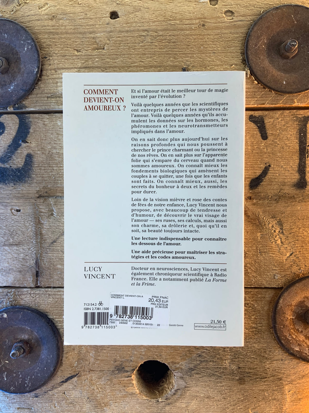 Comment devient-on amoureux ? - Lucy Vincent