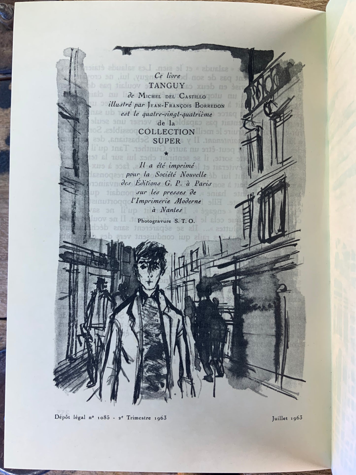 Tanguy - Michel del Castillo [ illustré ]