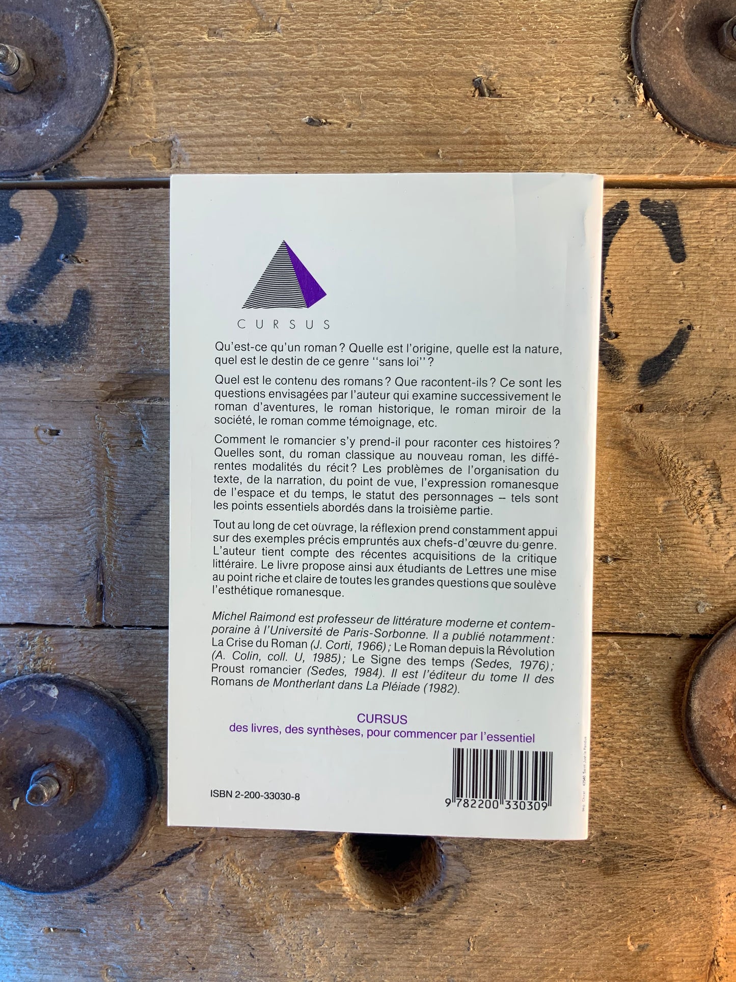 Le roman - Michel Raimond