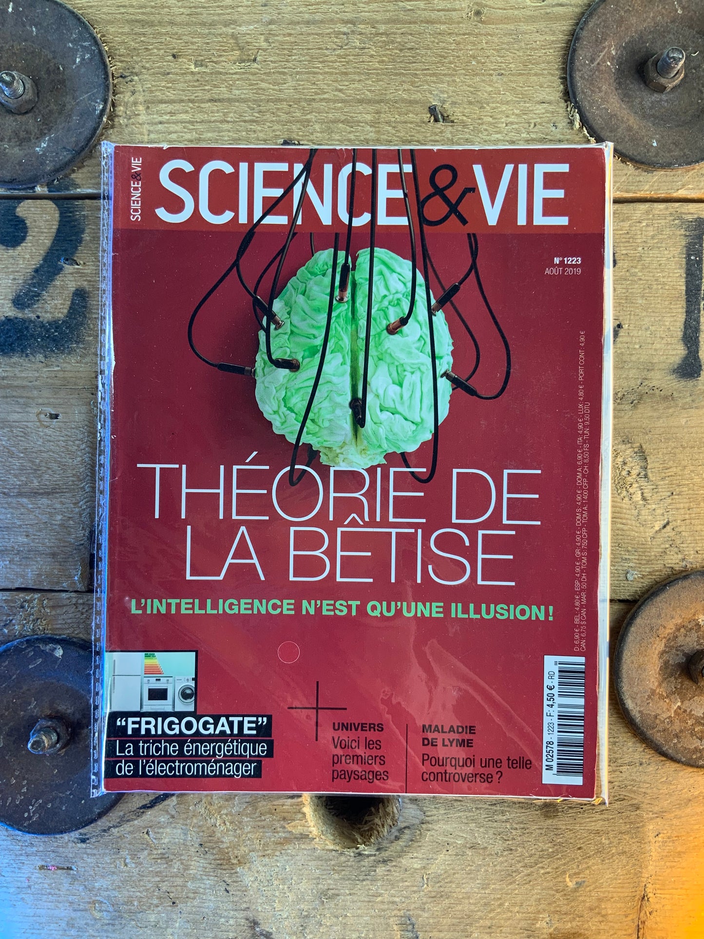 Théorie de la bêtise : l’intelligence n’est qu’une illusion [ Science & Vie ]