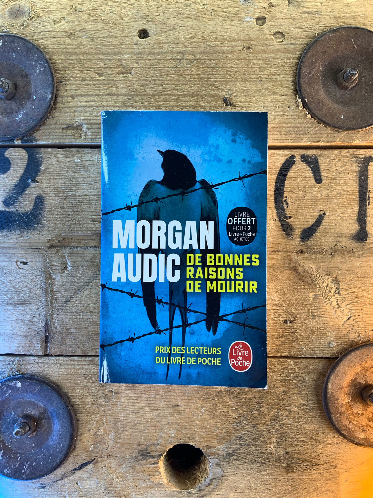 De bonnes raisons de mourir - Morgan Audic