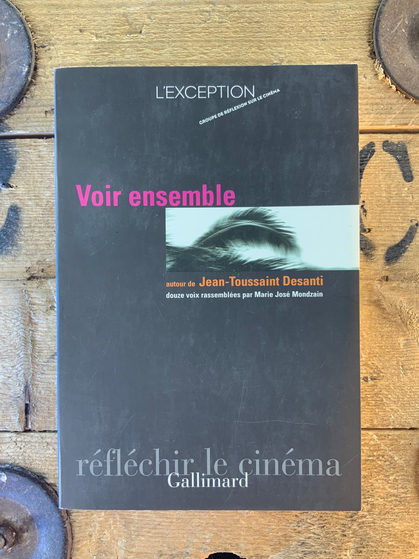 Voir ensemble, autour de Jean-Toussaint Desanti - Marie José Mondzain