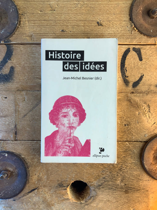 Histoire des idées - Jean-Michel Besnier