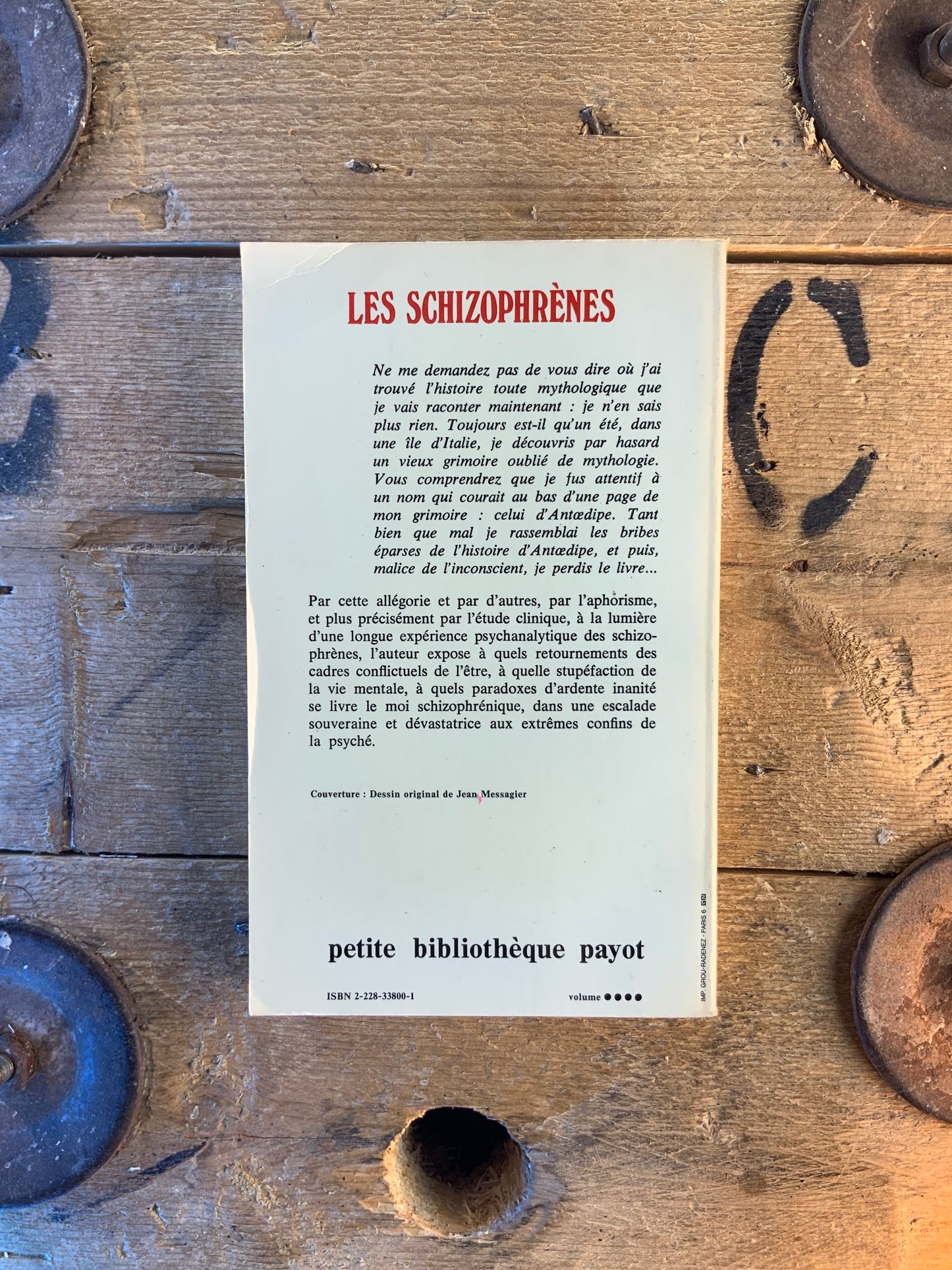 Les schizophrènes - P.C. Ragamier