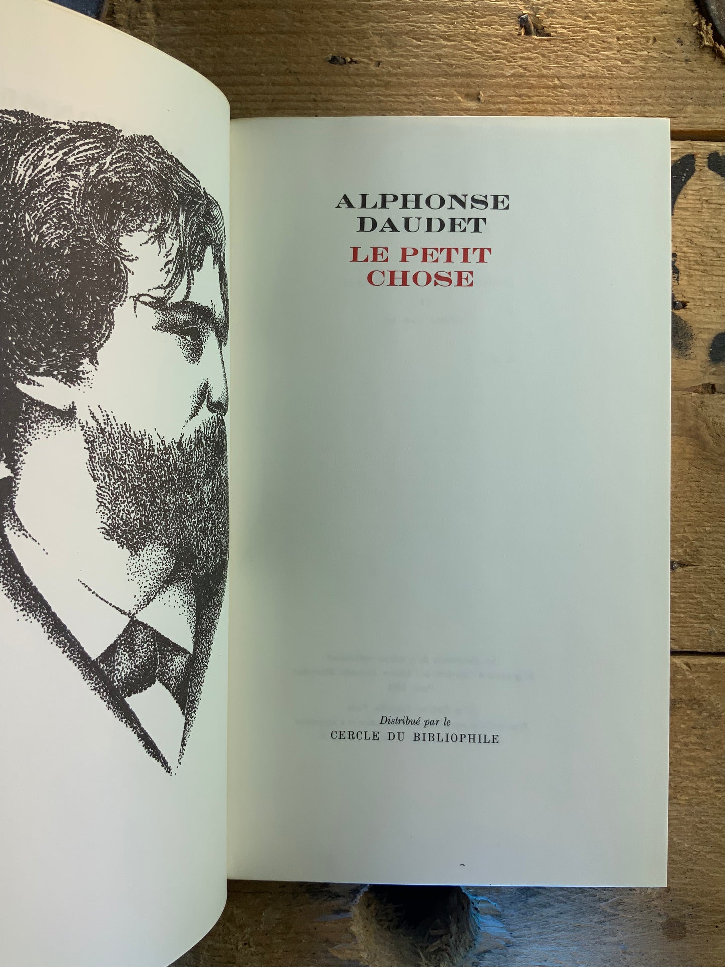 Le petit chose - Alphonse Daudet