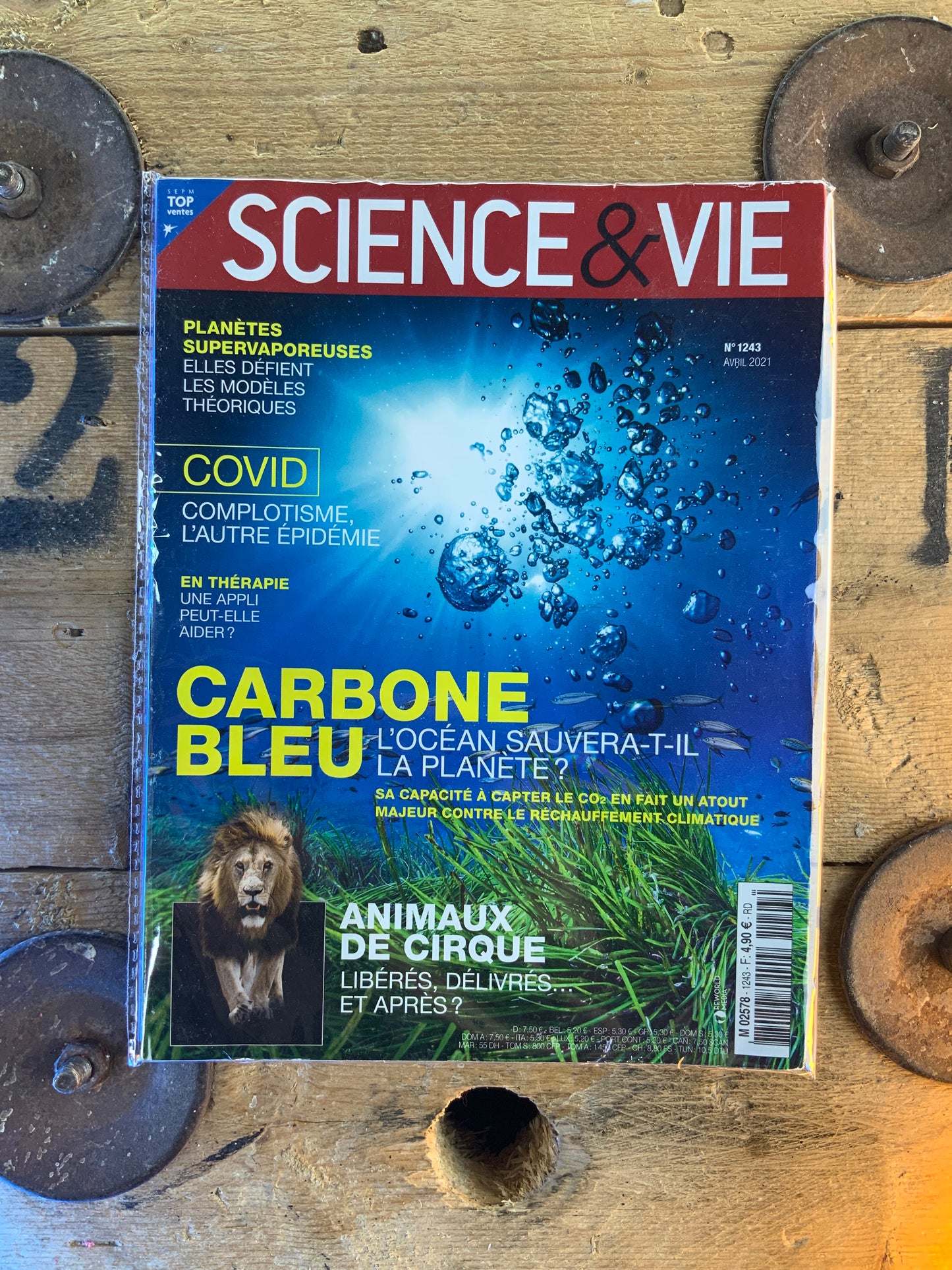 Carbone bleu : l’océan sauvera-t-il la planète [ Science & Vie ]