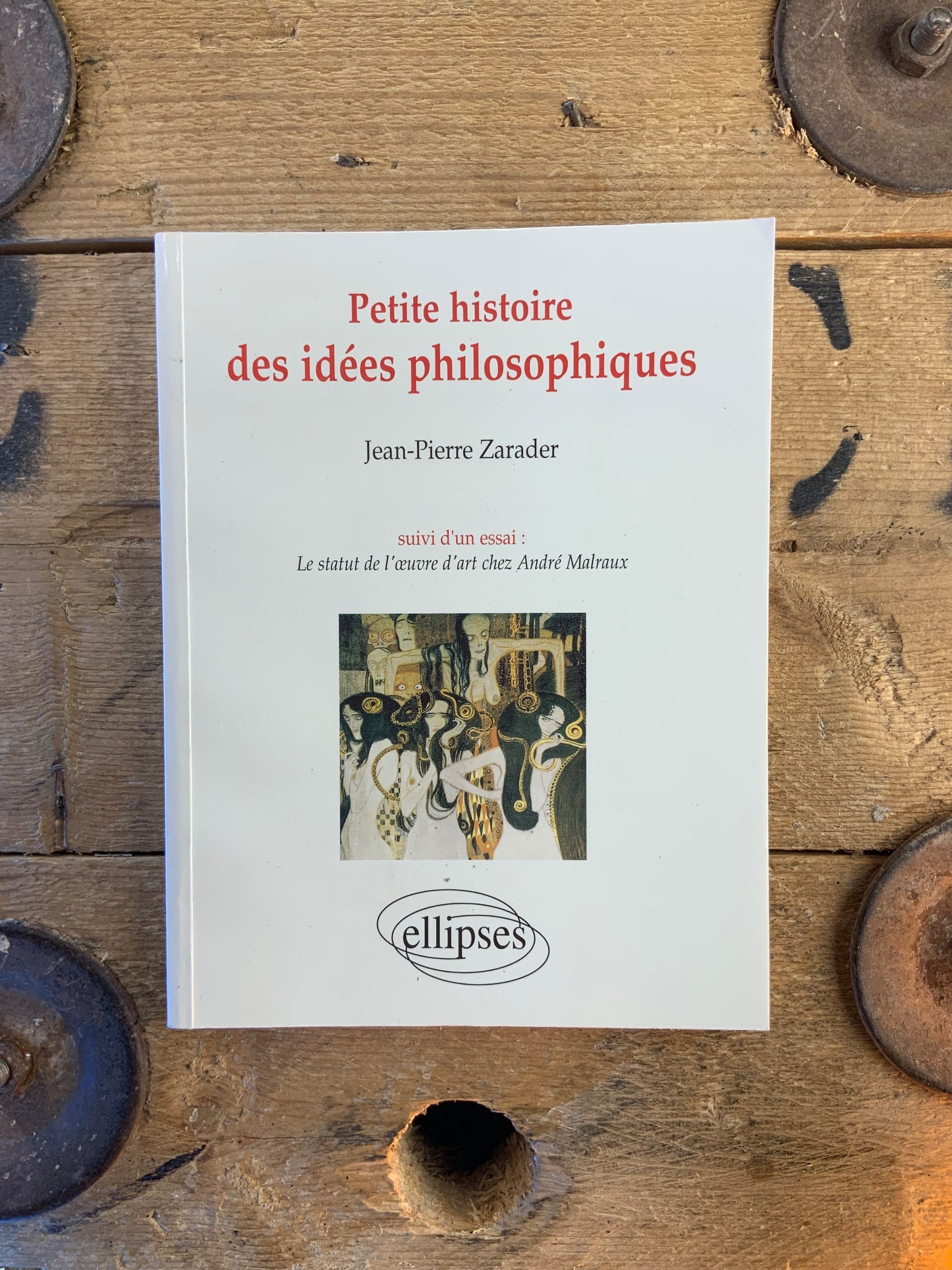 Petite histoire des idées philosophiques - Jean-Pierre Zarader