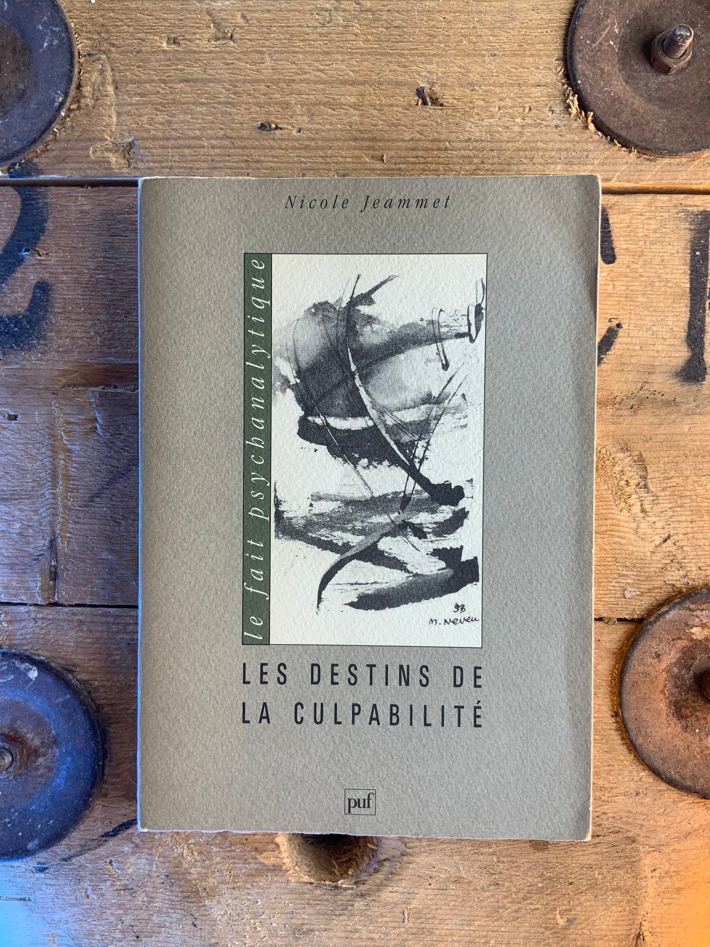 Les destins de la culpabilité - Nicole Jeammet