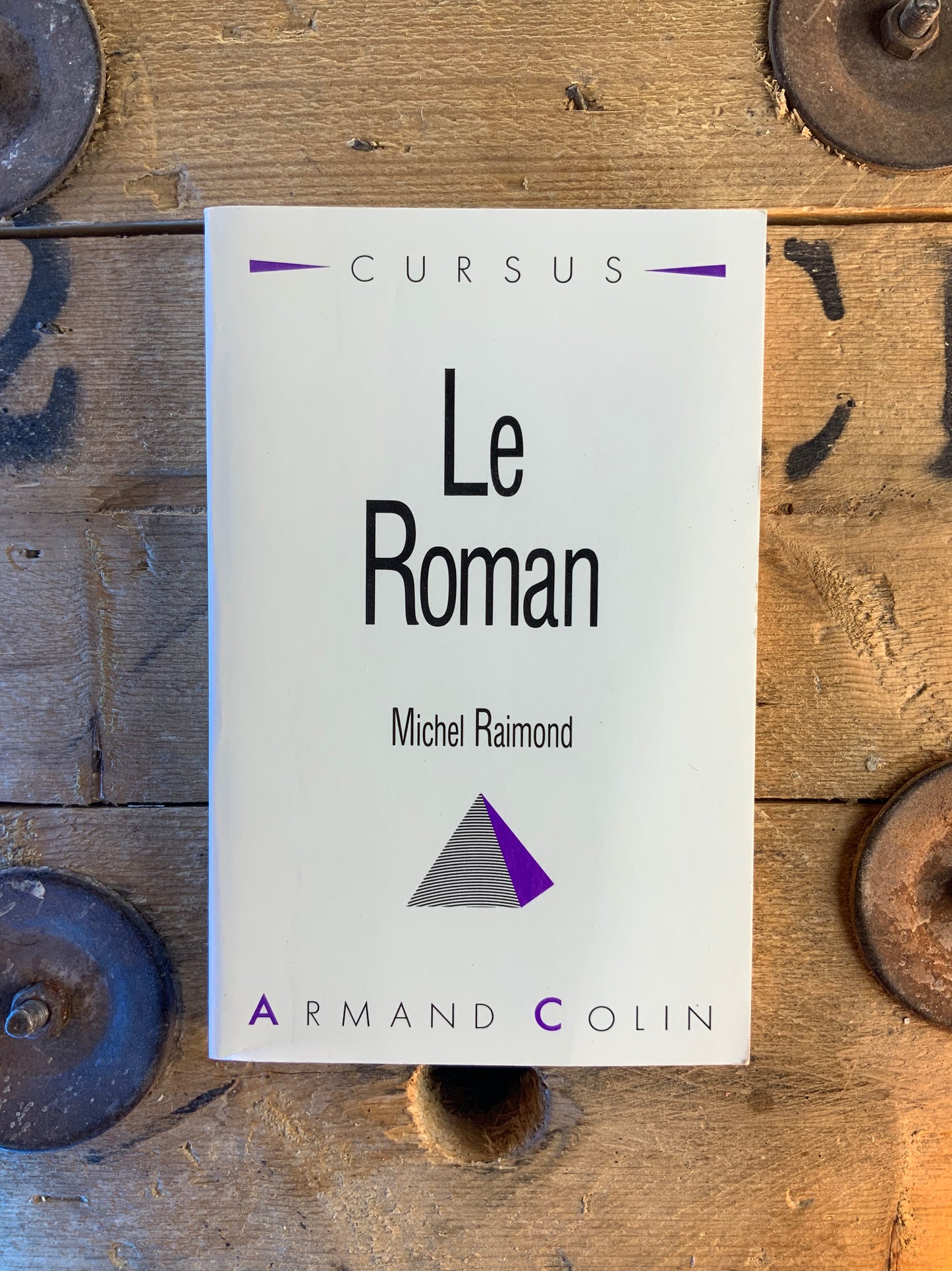 Le roman - Michel Raimond