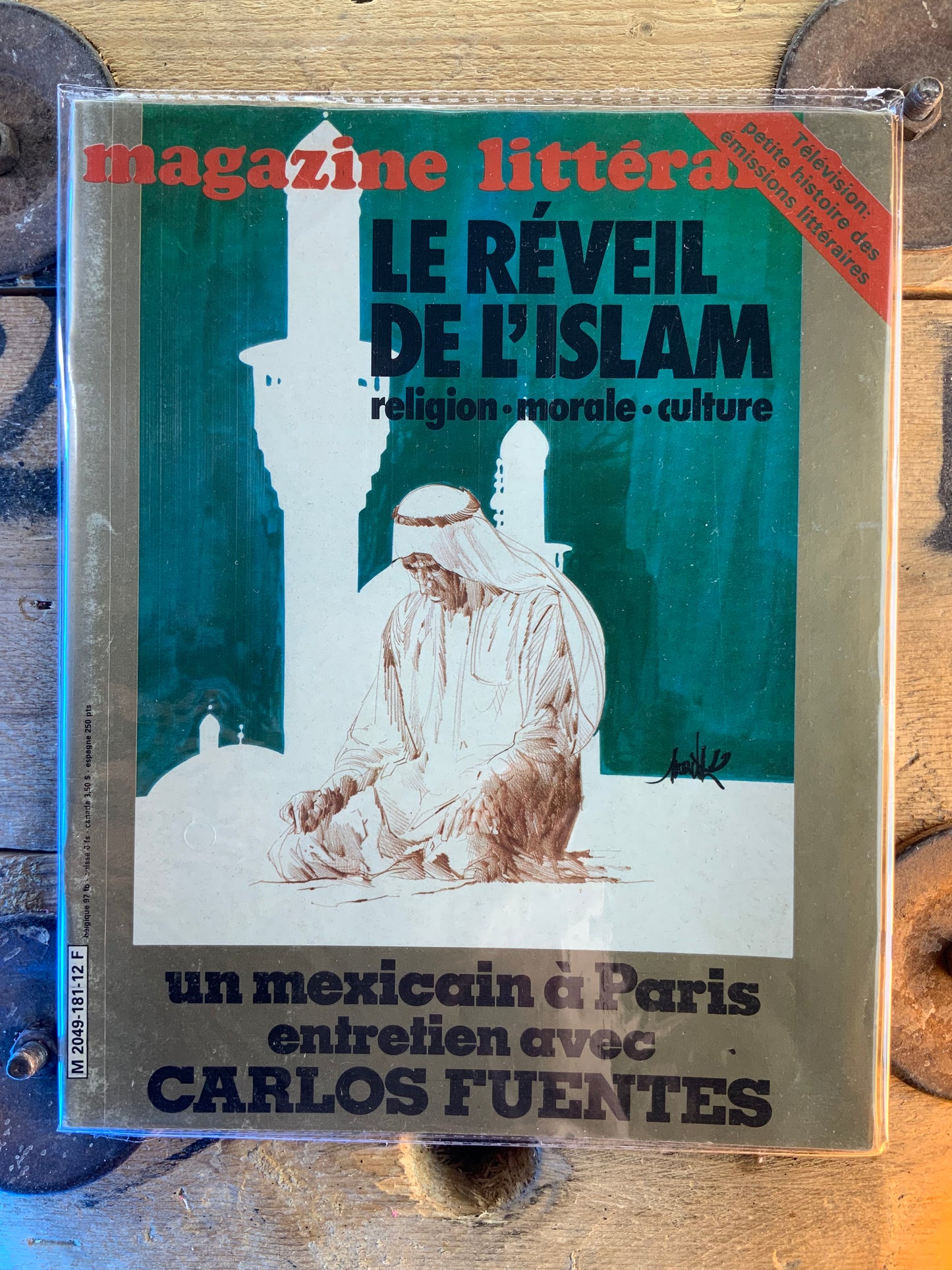 Le réveil de l’islam : religion - morale - culture [ Magazine Littéraire ]