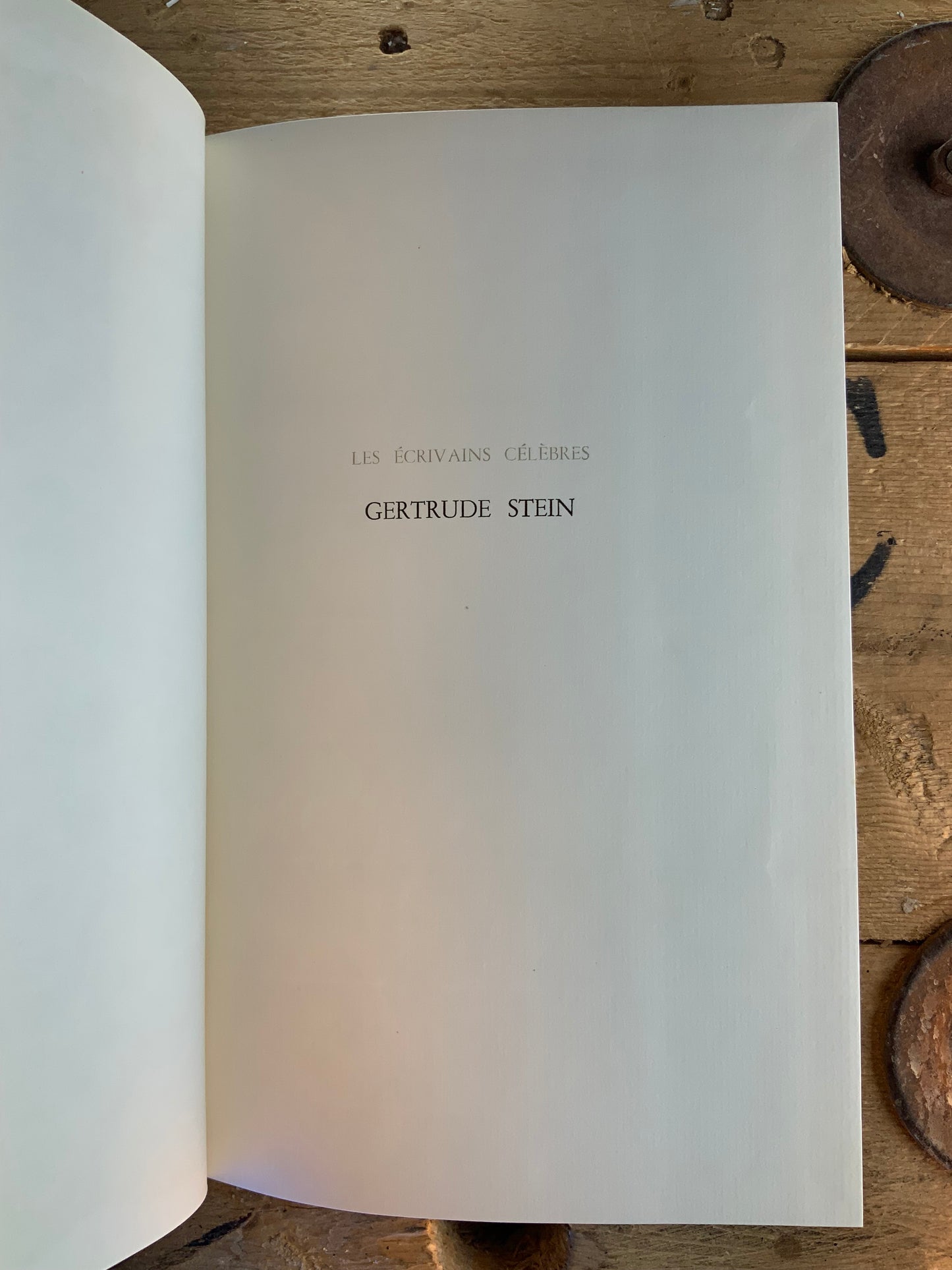 Les écrivains célèbres : Gertrude Stein