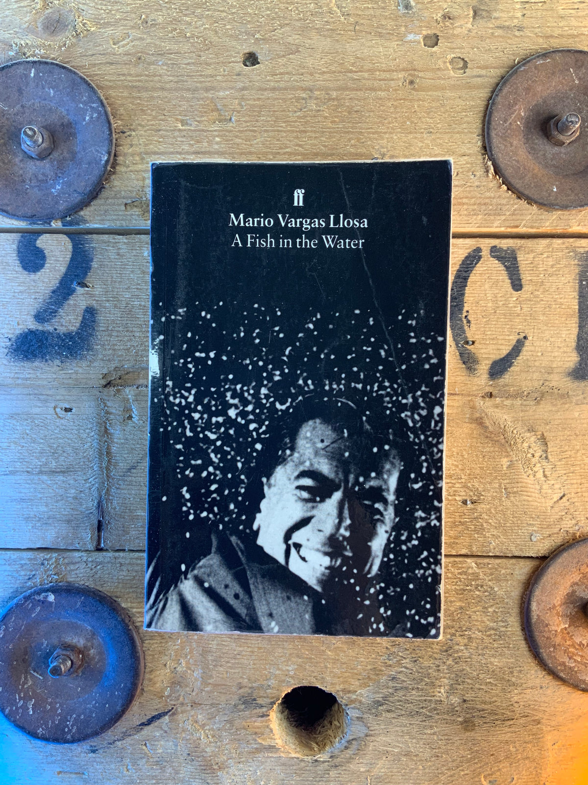 A fish in the water - Mario Vargas Llosa