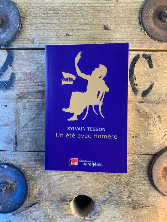Un été avec Homère - Sylvain Tesson
