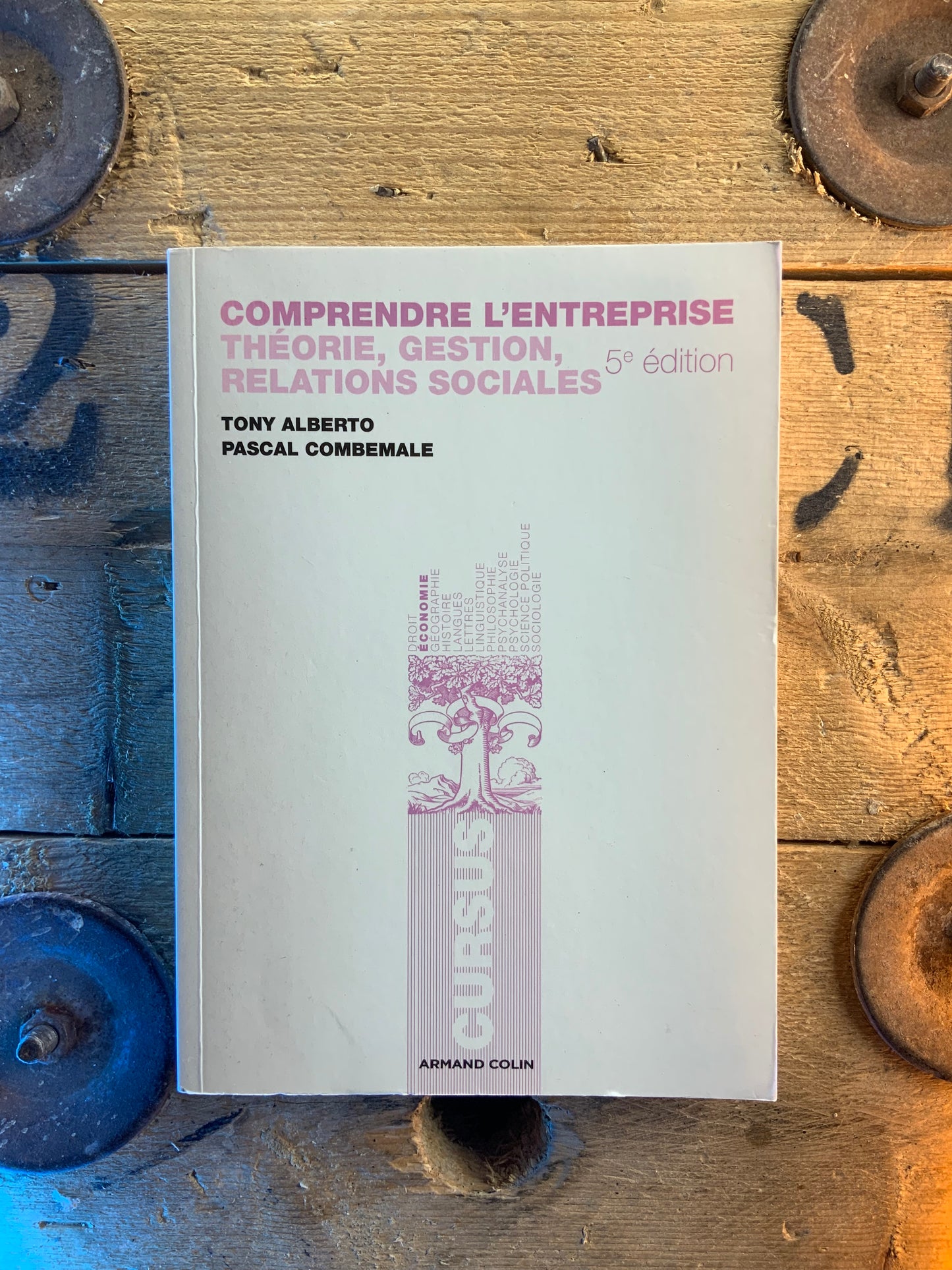 Comprendre l’entreprise : théorie, gestion, relations sociales - Tony Alberto et Pascal Combemale
