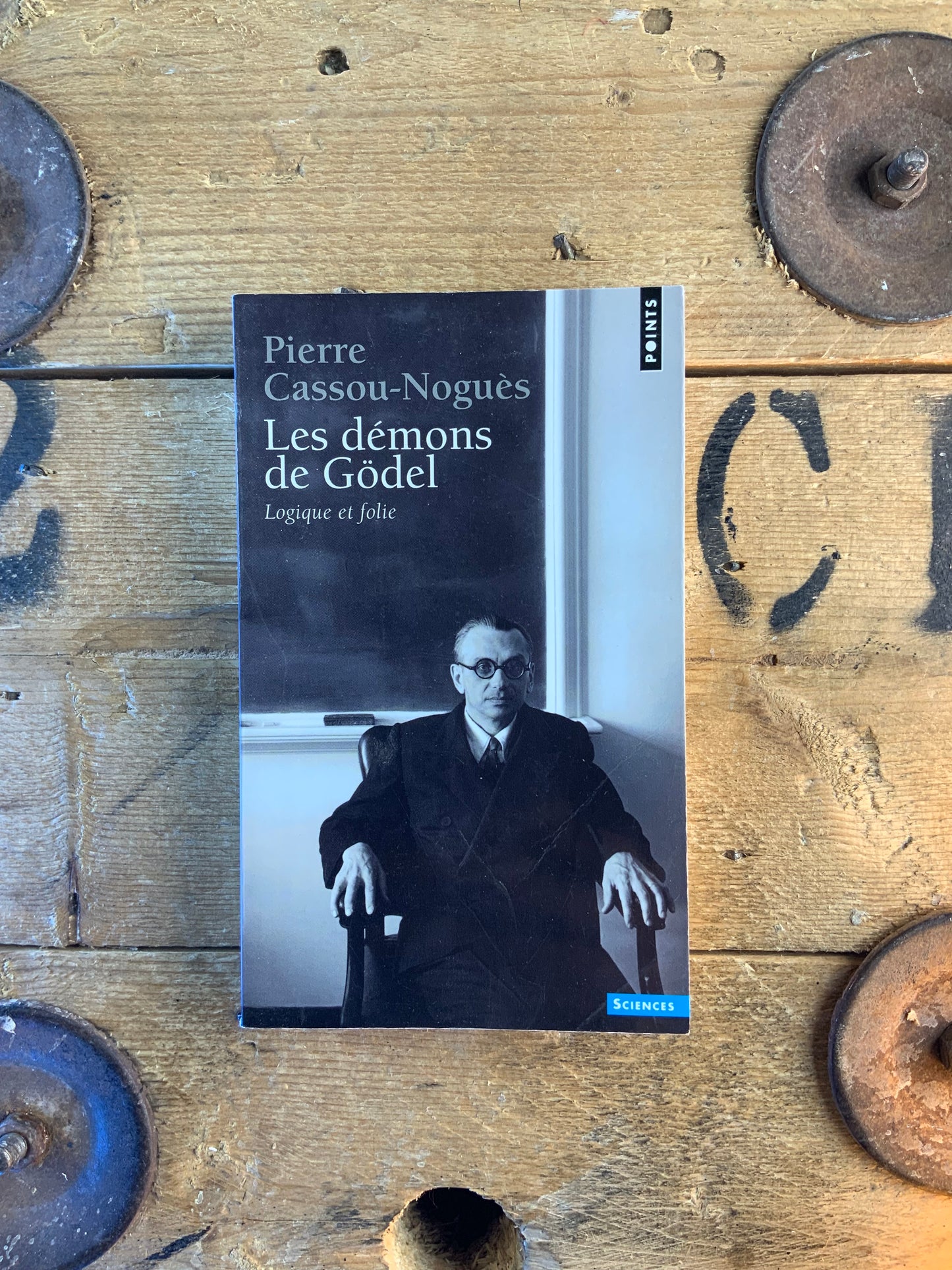 Les démons de Gödel : logique et folie - Pierre Casson-Noguès